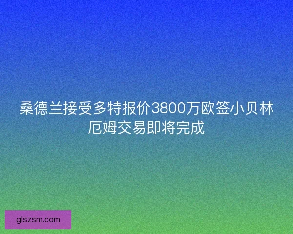 桑德兰接受多特报价3800万欧签小贝林厄姆交易即将完成