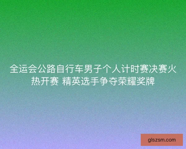 全运会公路自行车男子个人计时赛决赛火热开赛 精英选手争夺荣耀奖牌